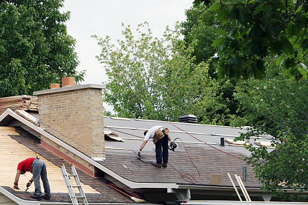 Best Roof Gutter Cleaning  in Utica, SC
