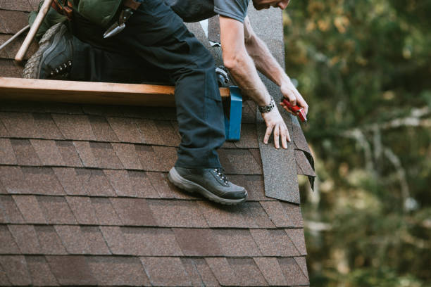 Best Roof Gutter Cleaning  in Utica, SC